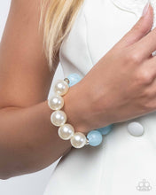 Load image into Gallery viewer, Complete LookPaparazzi Accessories
